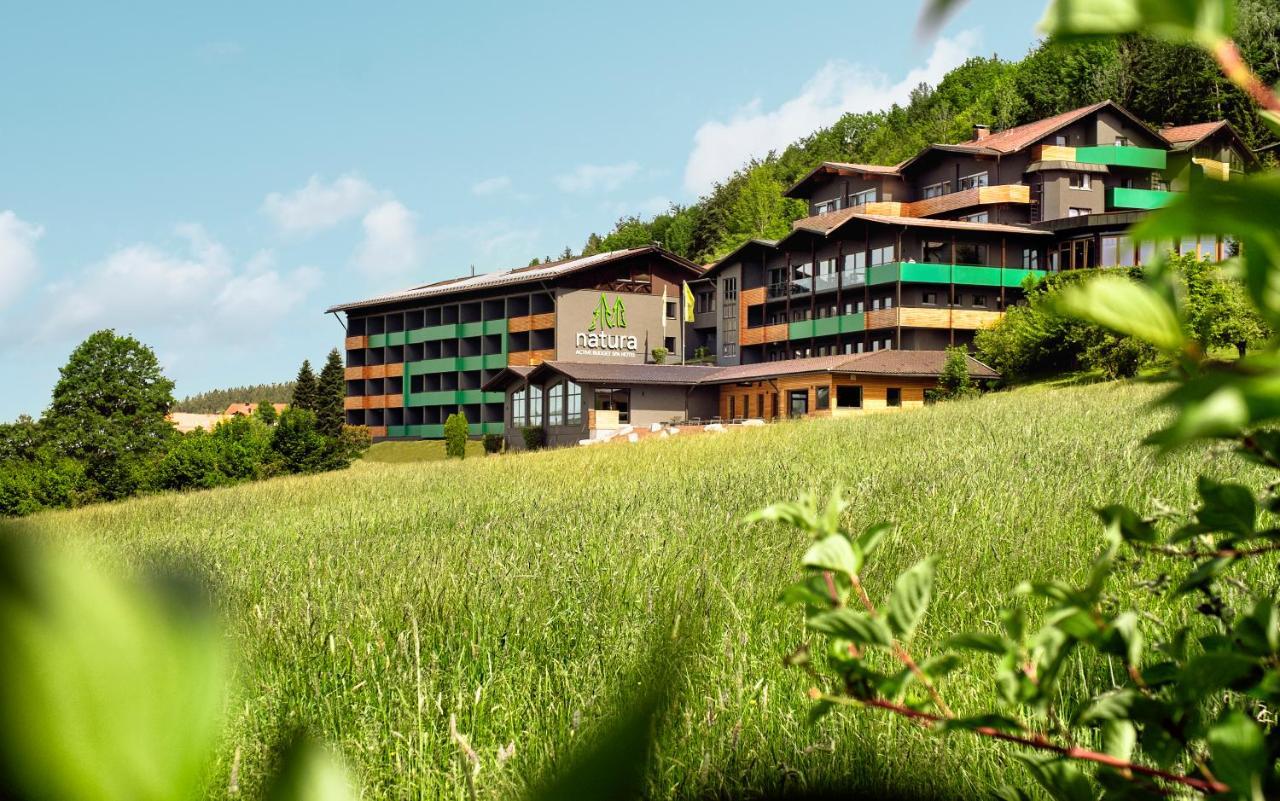 Natura Hotel Bodenmais - Inkl Soft- Und Heissgetraenkeflat Экстерьер фото